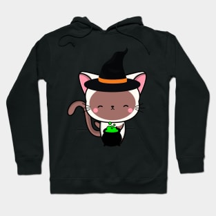 Cute white cat is a witch Hoodie